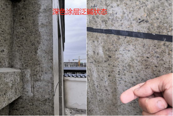 微信圖片_20240725153452.png